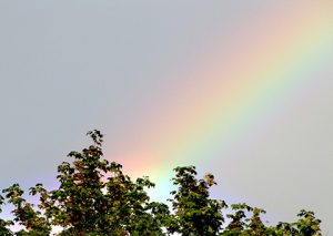 Beautiful rainbow - original photograph by Herb Rosenfield